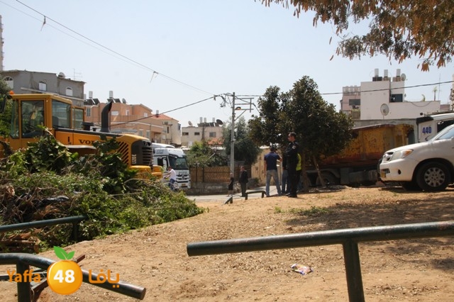 hadmqobtan423zoher (23).JPG